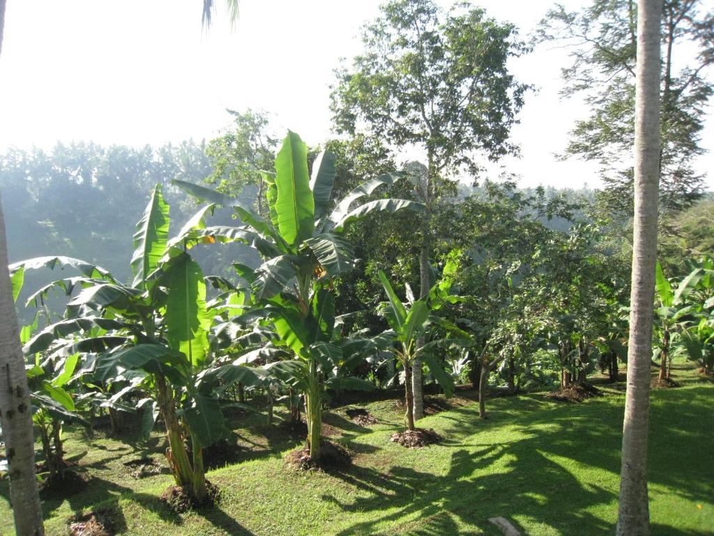 Sanggingan Villa Ubud Cameră foto
